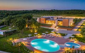 Papafigo Camping